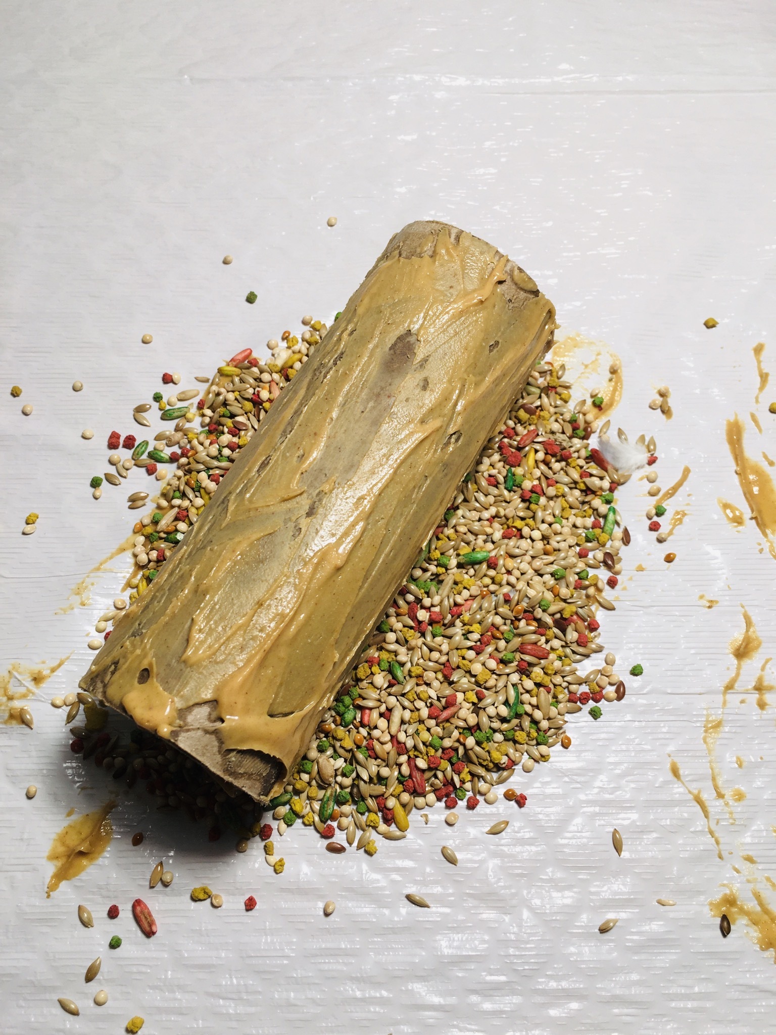 Toilet Paper Tube Bird Feeder Instructables