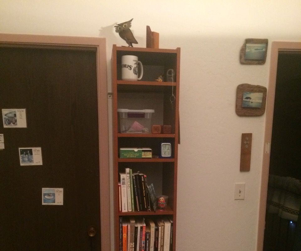 Closet Organizer Into Hanging Bookshelf Mod.