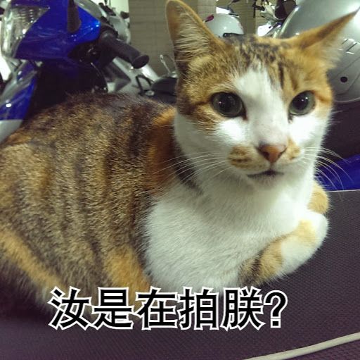 Instructables profile picture for @LiH4