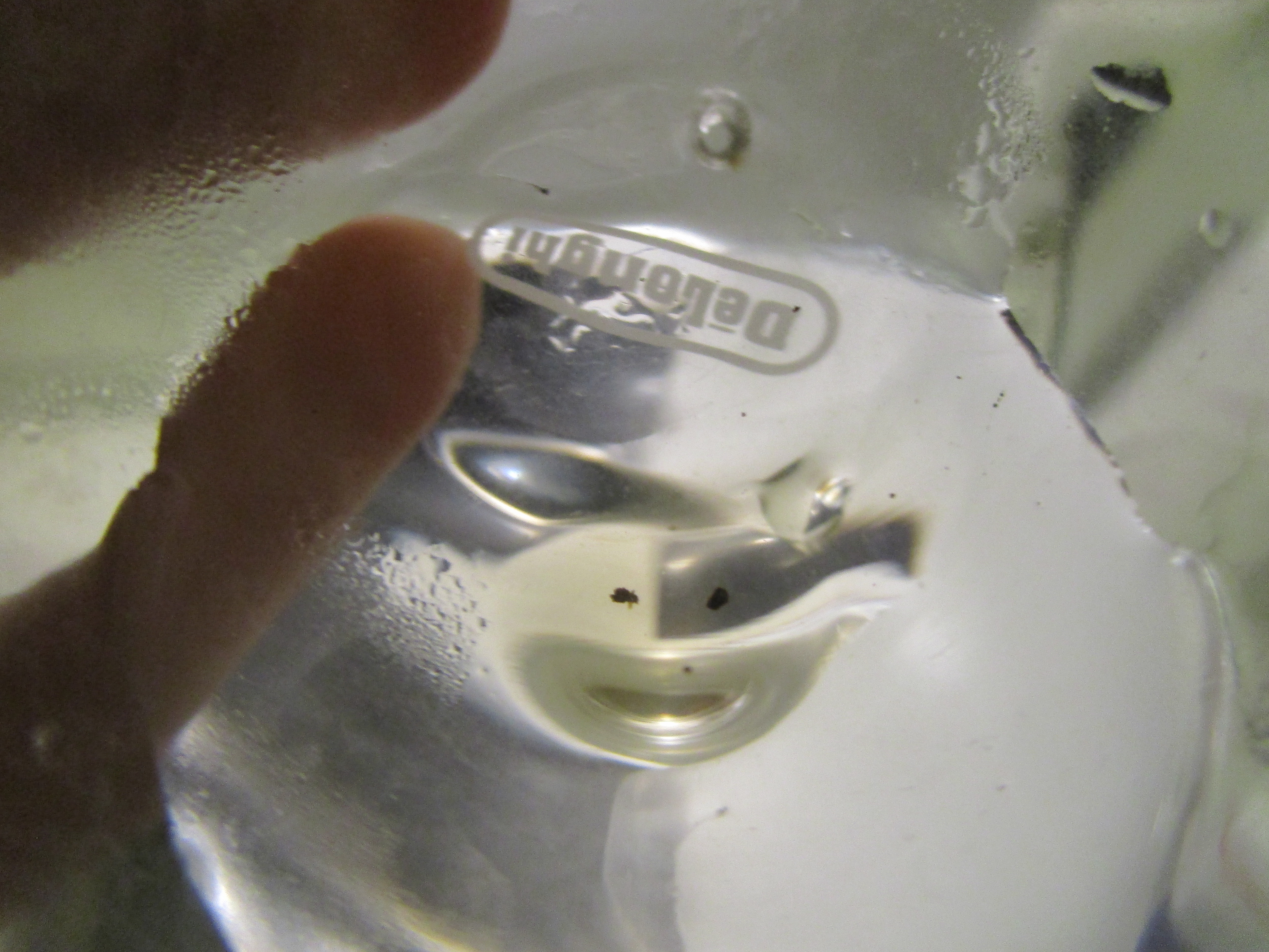 How to Fix the Valve Spring (espresso Machine Leaking Even When It Is