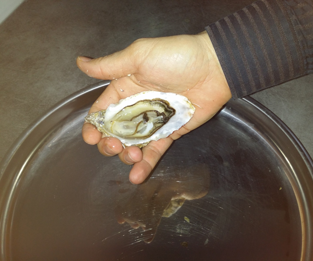 Technique d'ouverture des huitres / Technique of opening of oysters