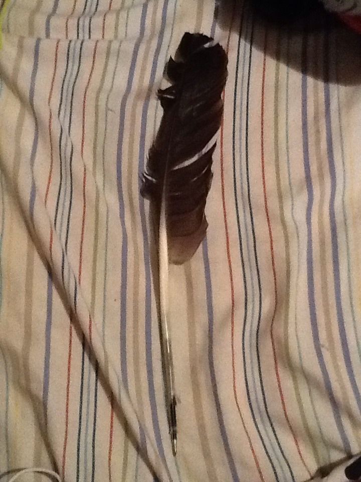Feather Gel Pen