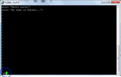 Creating and Running a Python Script