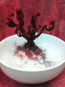 Chocolate Raspberry Tree