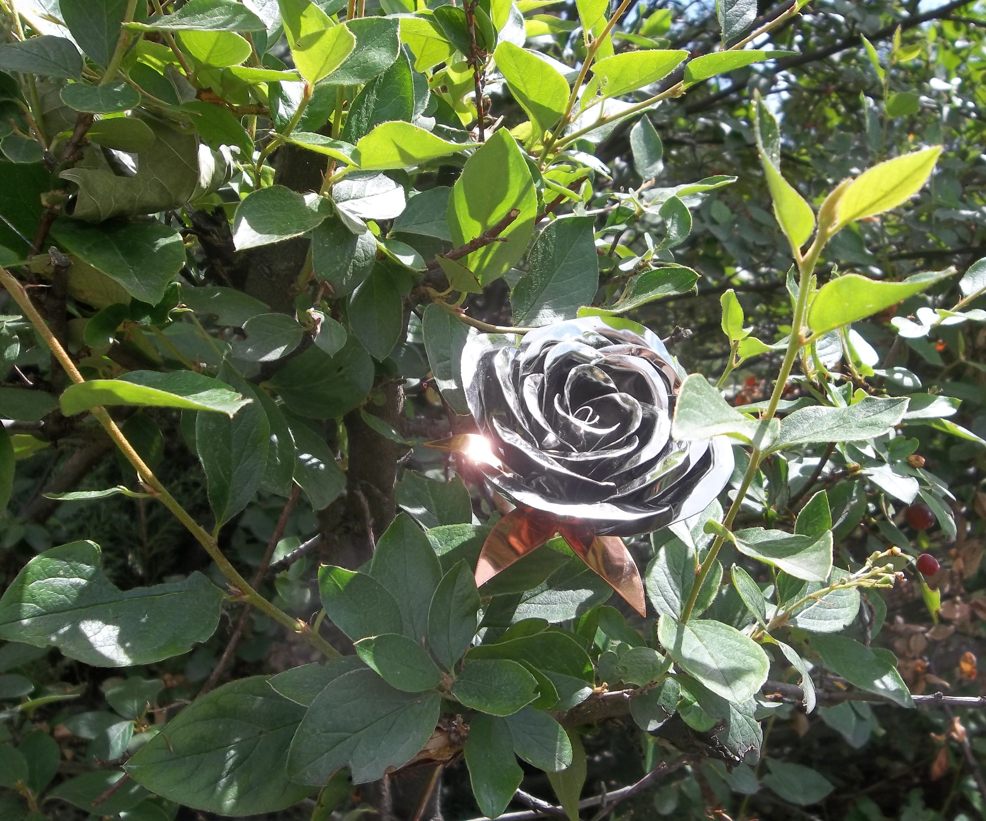 Metal Rose