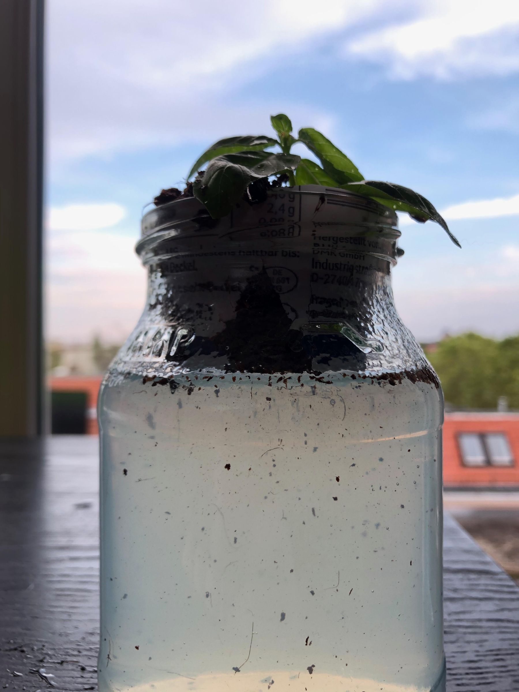 Mason Jar Hydroponics 8 Steps Instructables
