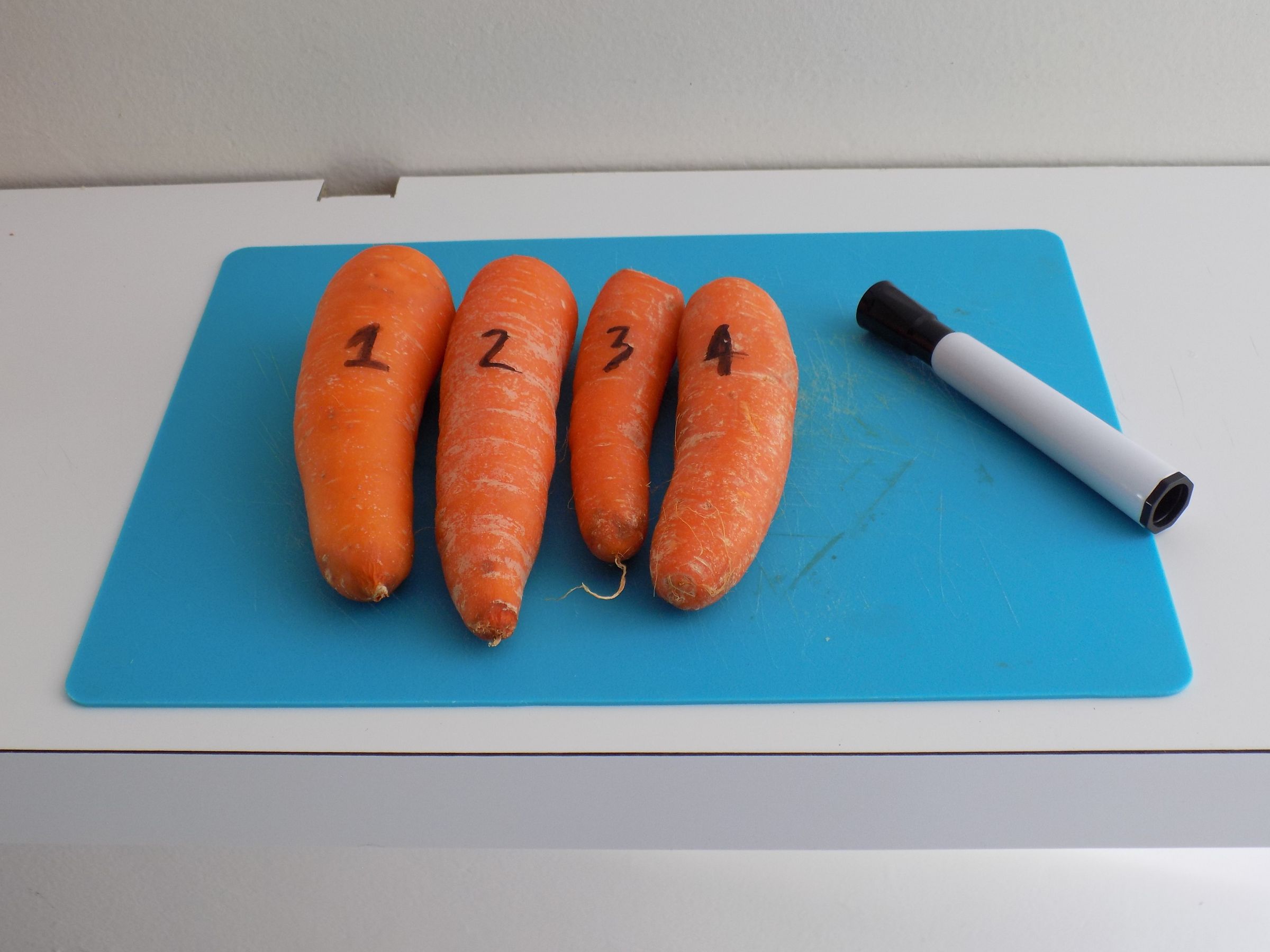 Carrot Pan Flute 4 Steps (with Pictures) Instructables