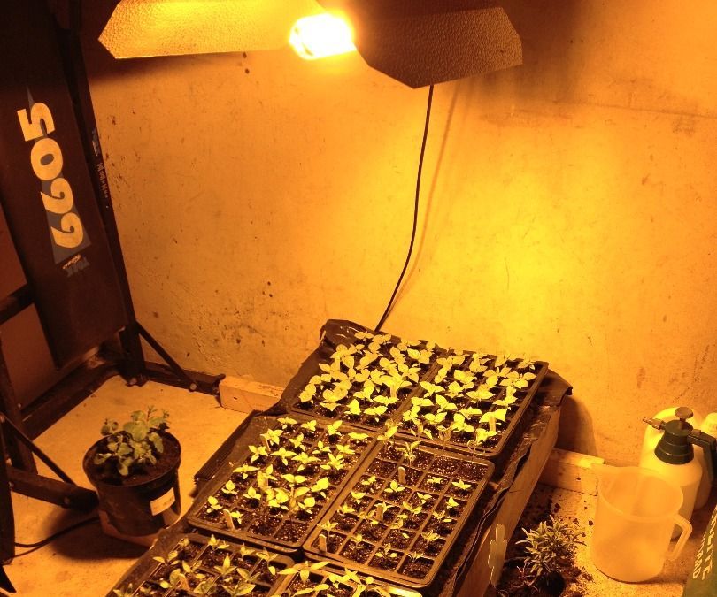 Heated Propagator