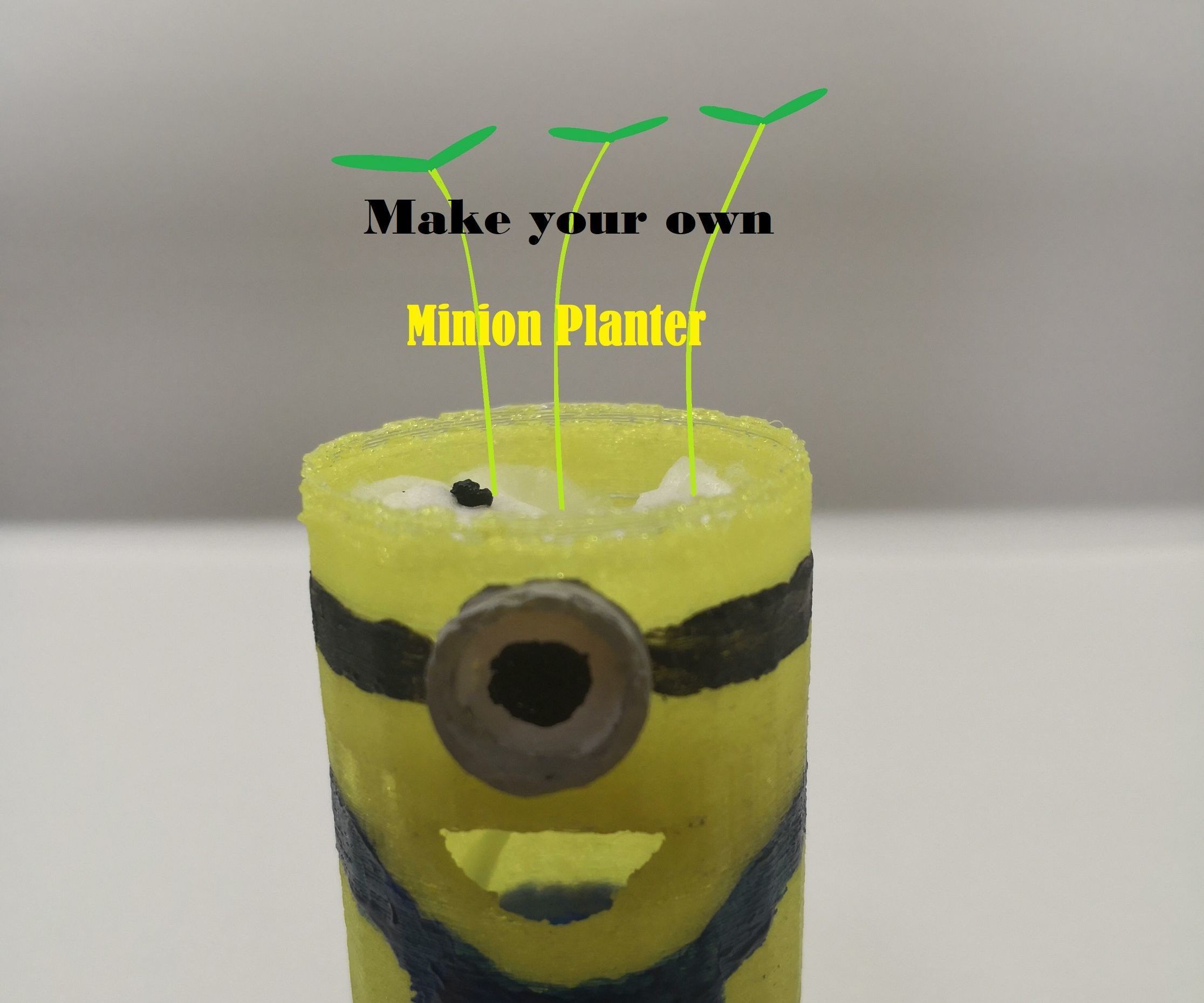 Minion Planter