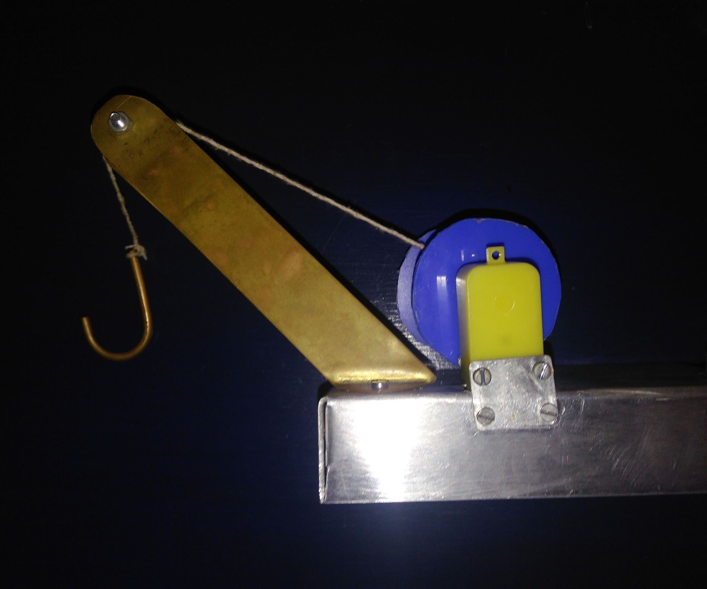 Electronic Crane