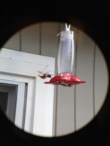 Binocular Mobile Phone Mount.