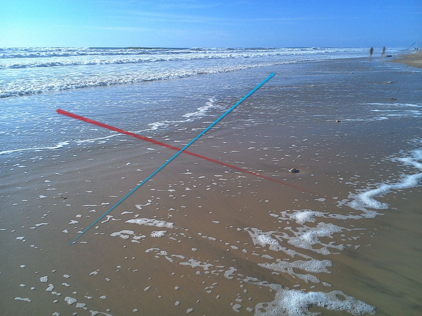 How to Skimboard (Flatland) 5 Steps Instructables