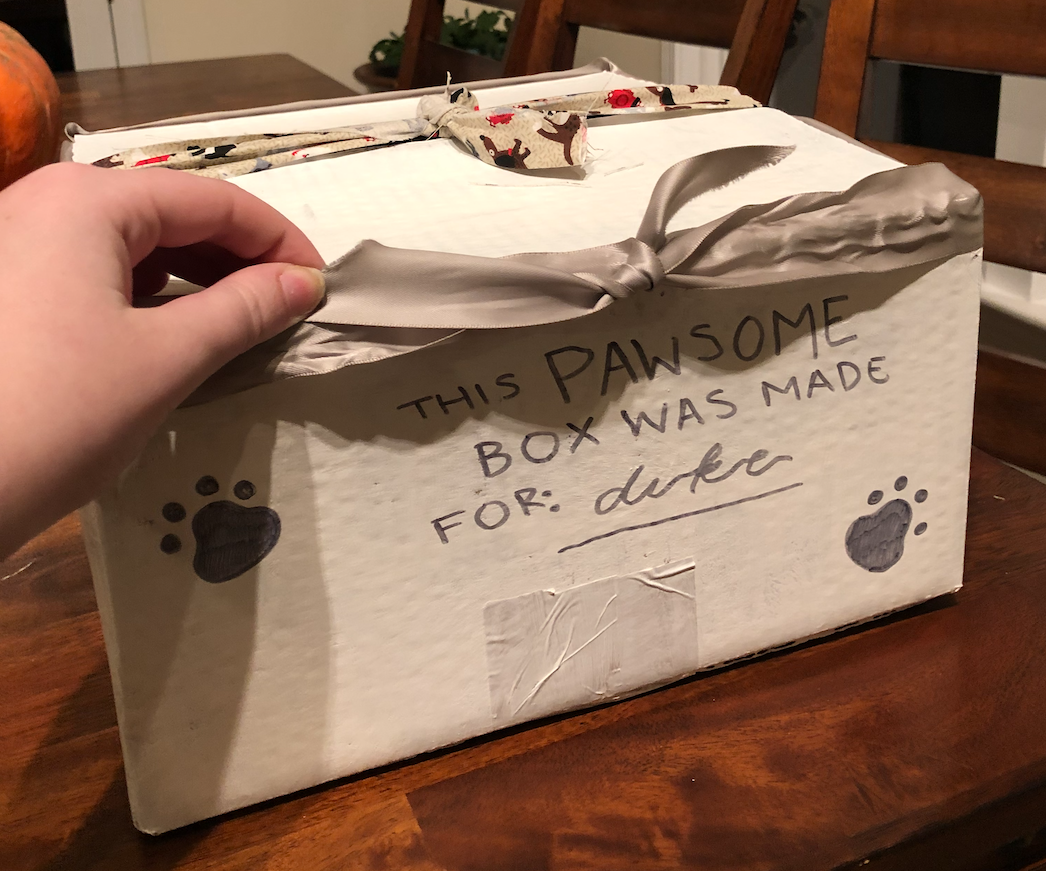 Customizable Doggy Care Kit