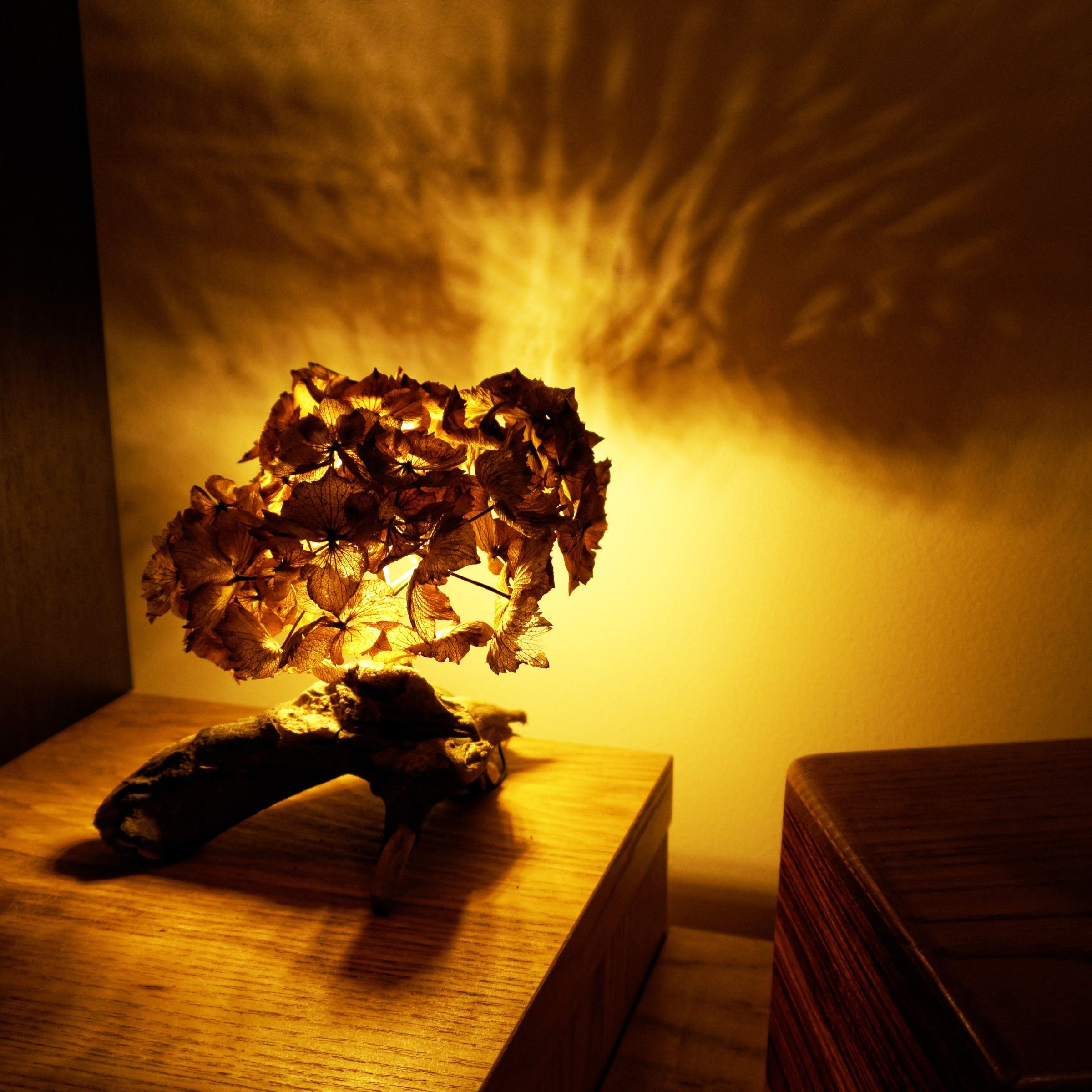 Make a Beautiful Petal-Light