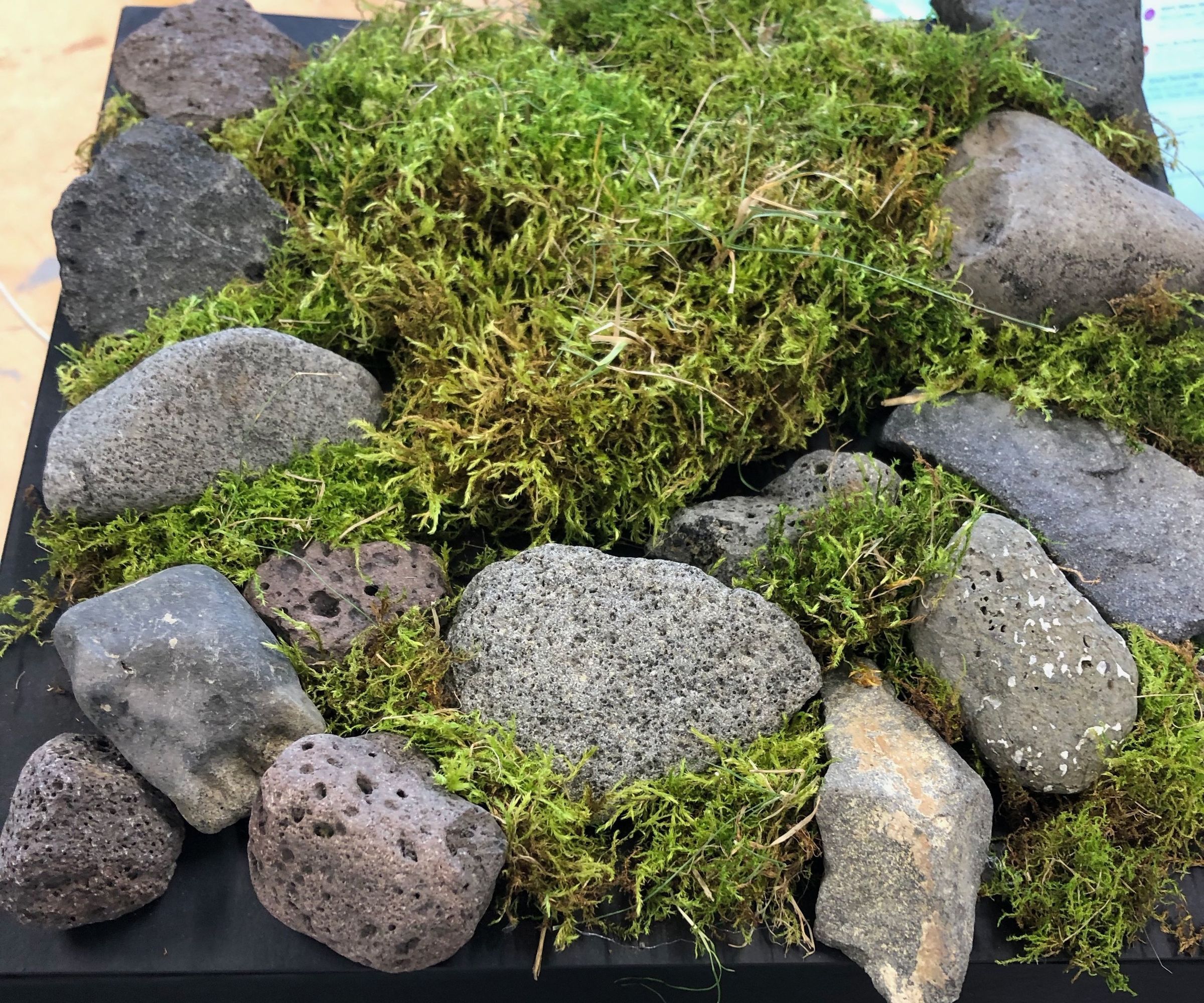 Moving Moss