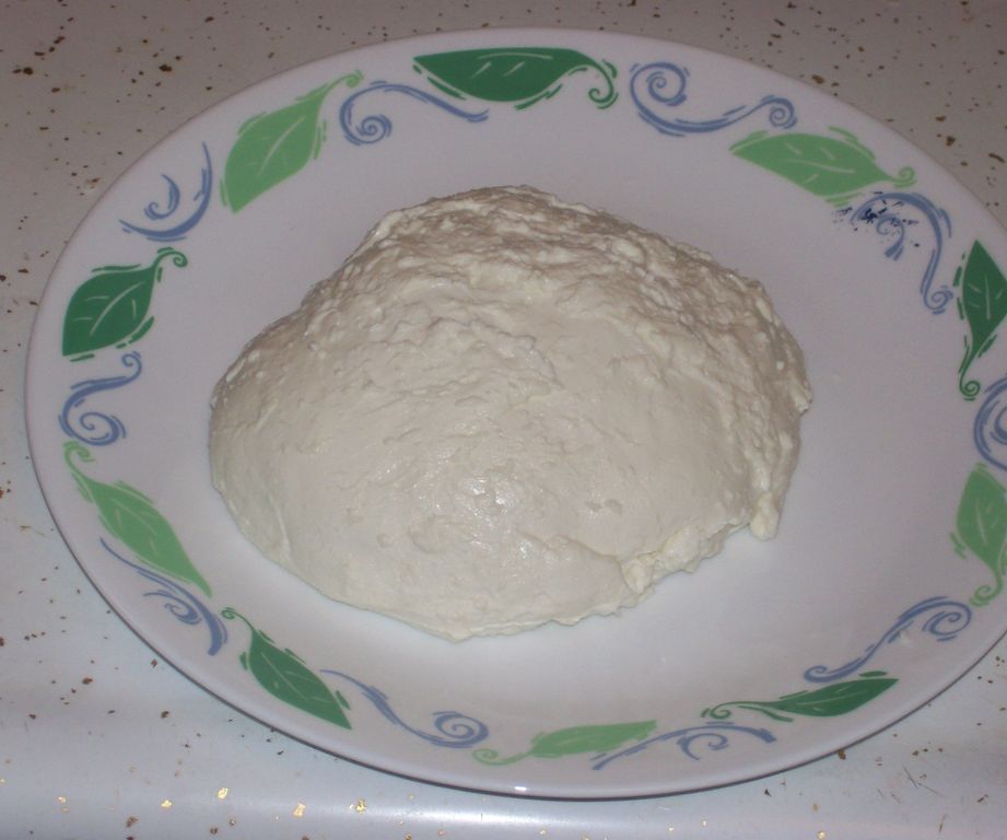 Cómo hacer queso mozzarella fresco