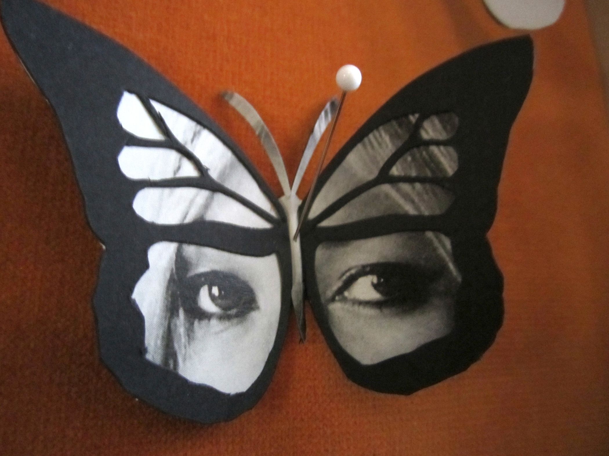 Butterfly Collection : 6 Steps - Instructables