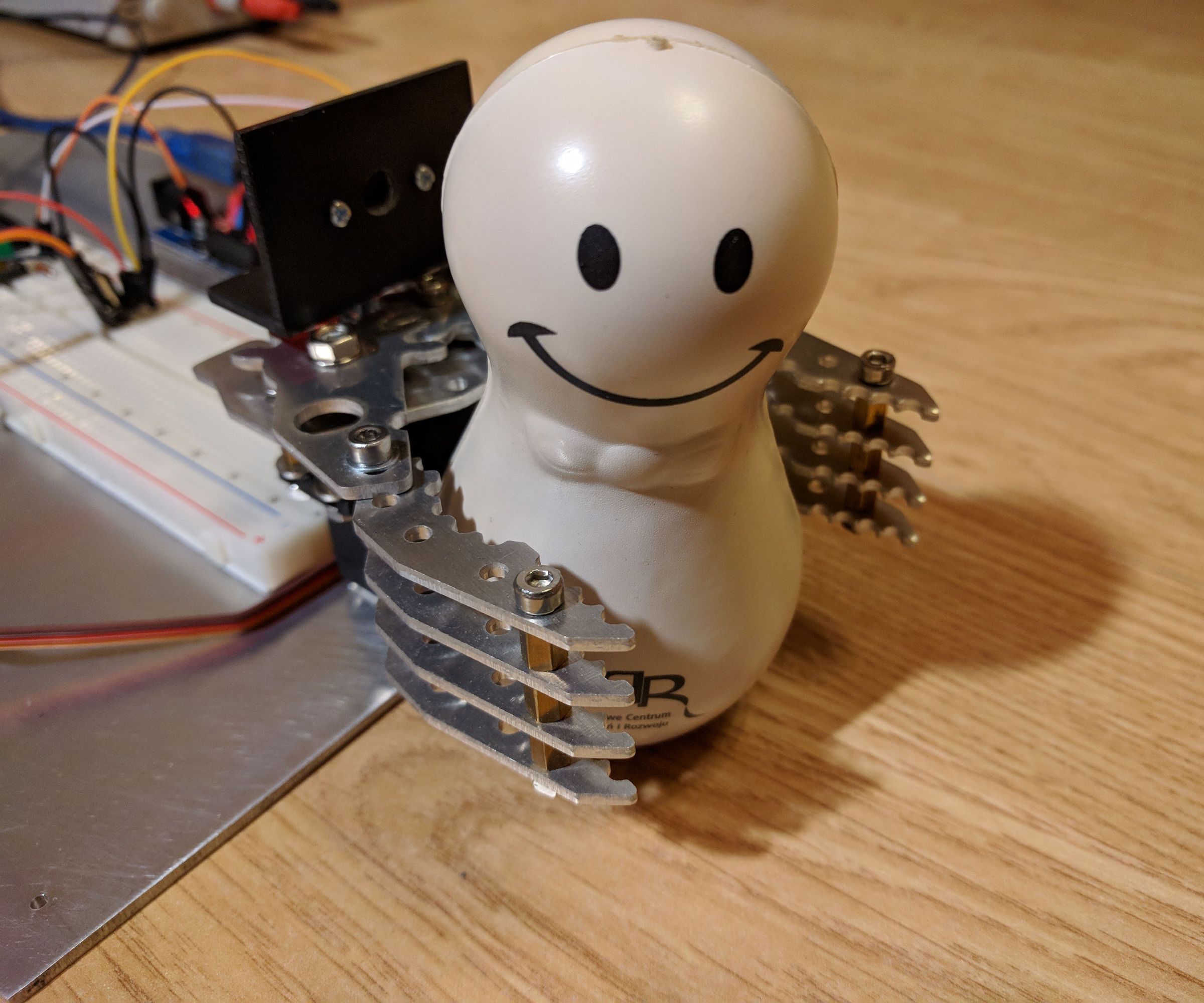 Automatic Gripping Using a Laser Sensor and Voice Commands