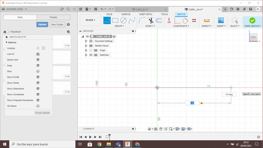 Desarrollo De La Cara