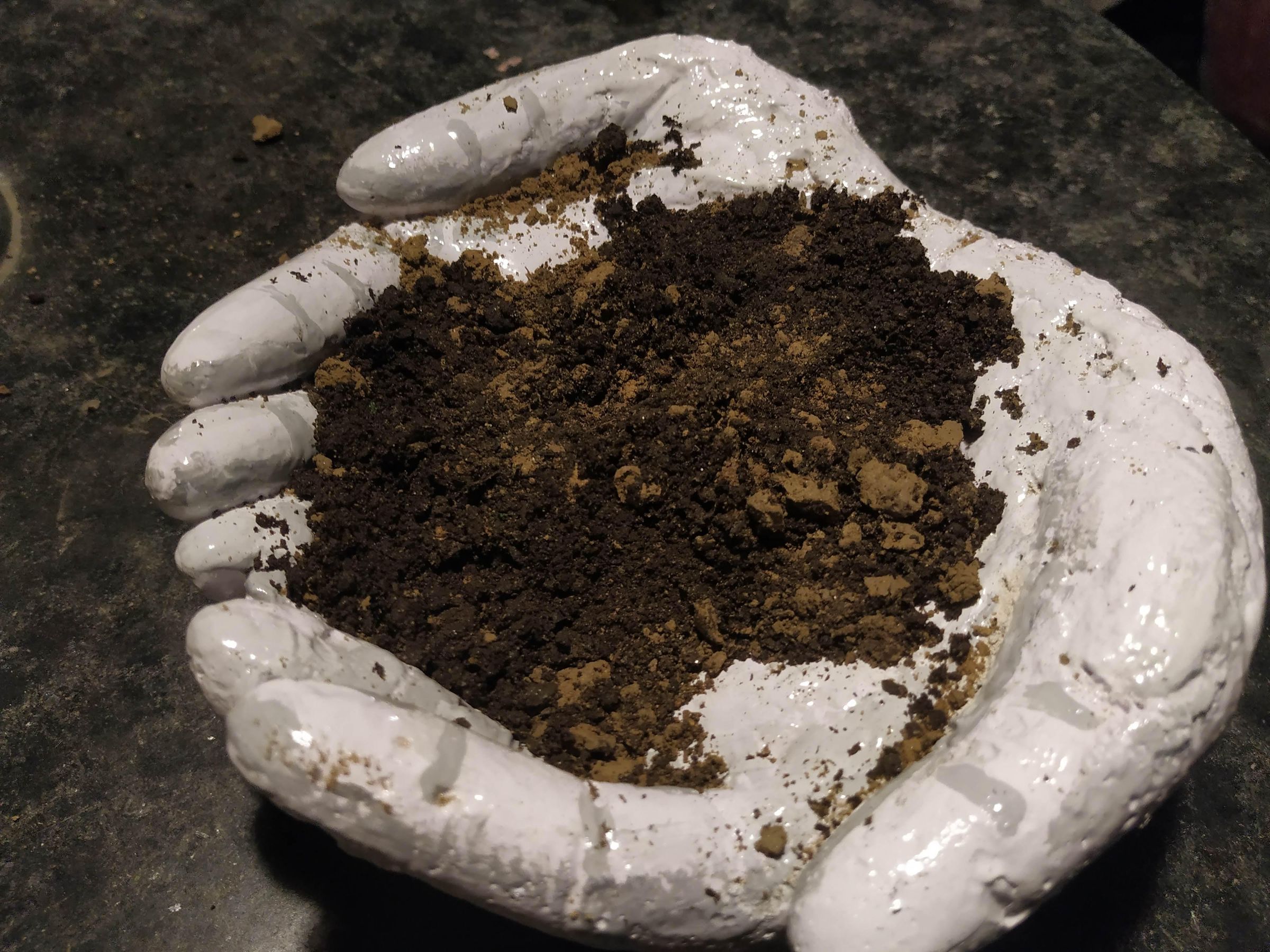 Hands Saving Greenery 7 Steps (with Pictures) Instructables