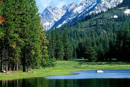 How to Survive in the Wilderness