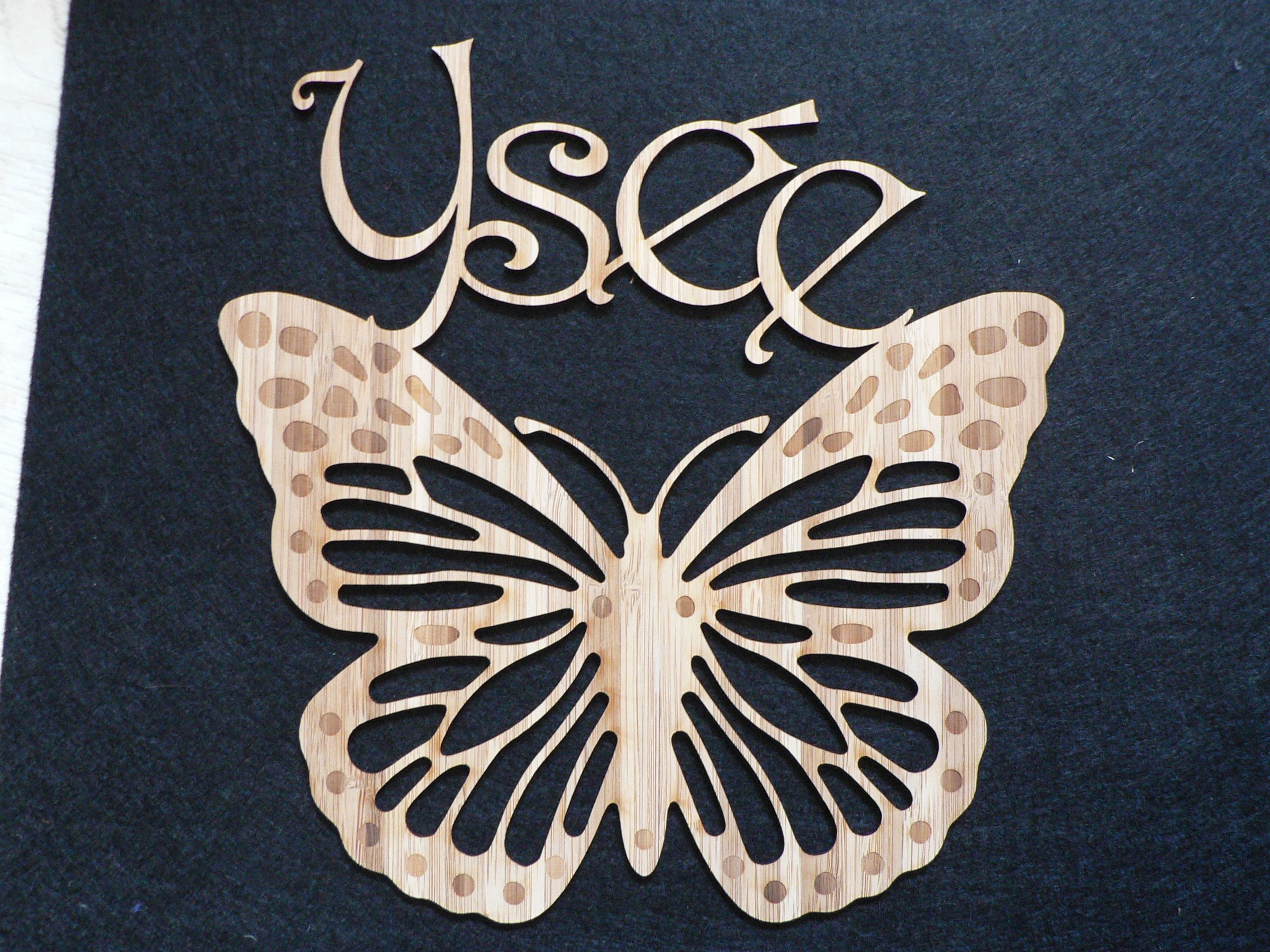 Laser Cut Custom Interior Door Decorations