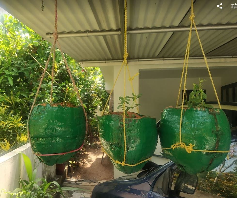 Coconut Husk Gardening Pot