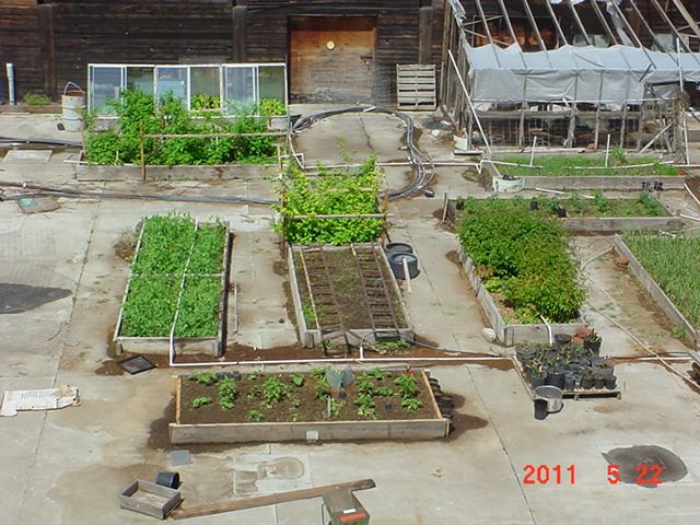 Raised Garden