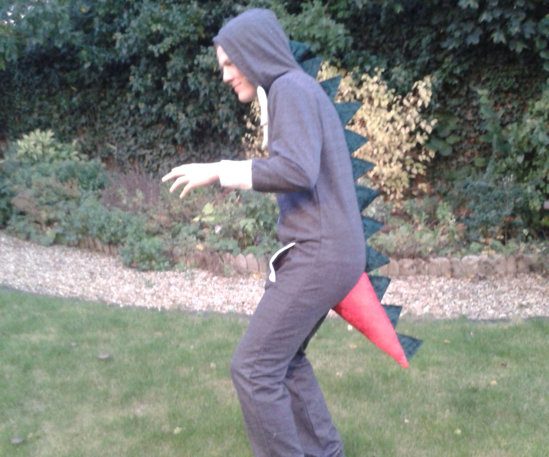 Dinosaur/ Dragon Costume