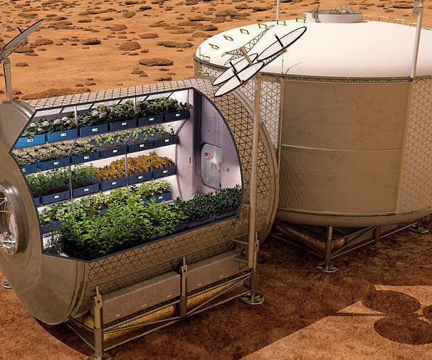 NASA Plant Growth Chamber