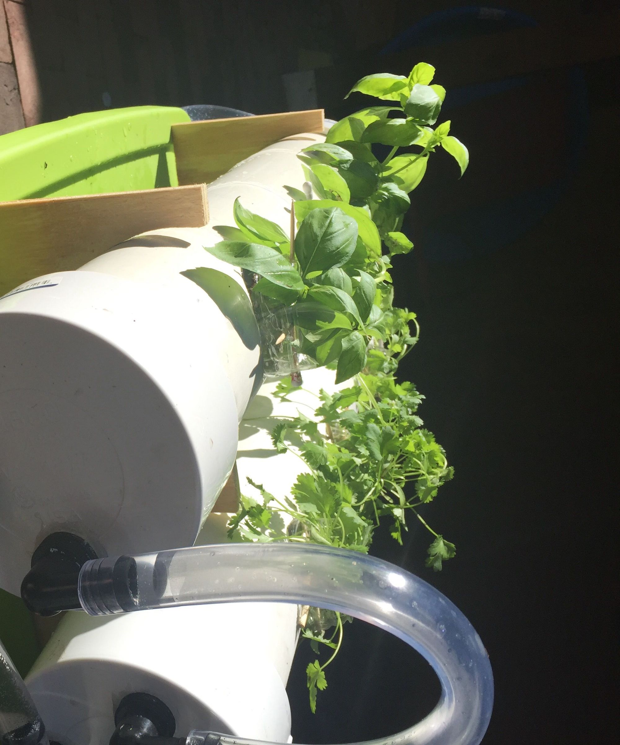 Herboponic- a Hydroponic Herb Garden 