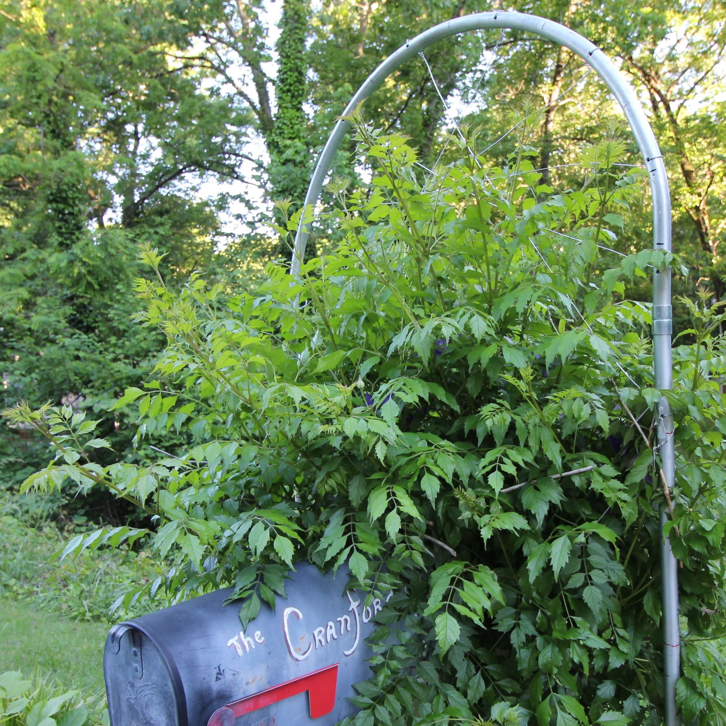 EMT Conduit Trellis 3 Steps Instructables