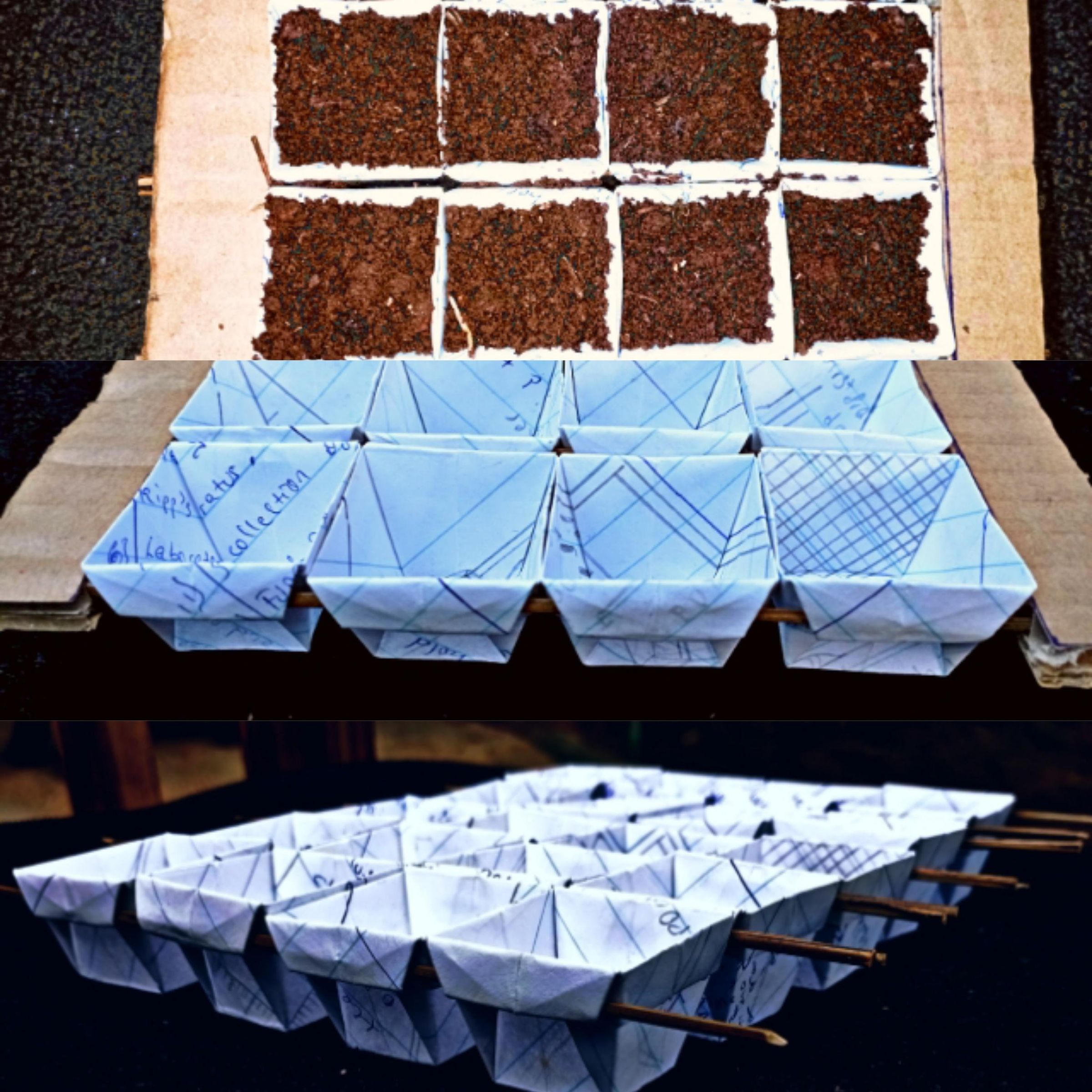 Origami Paper Seedling Tray. 10 Steps (with Pictures) Instructables