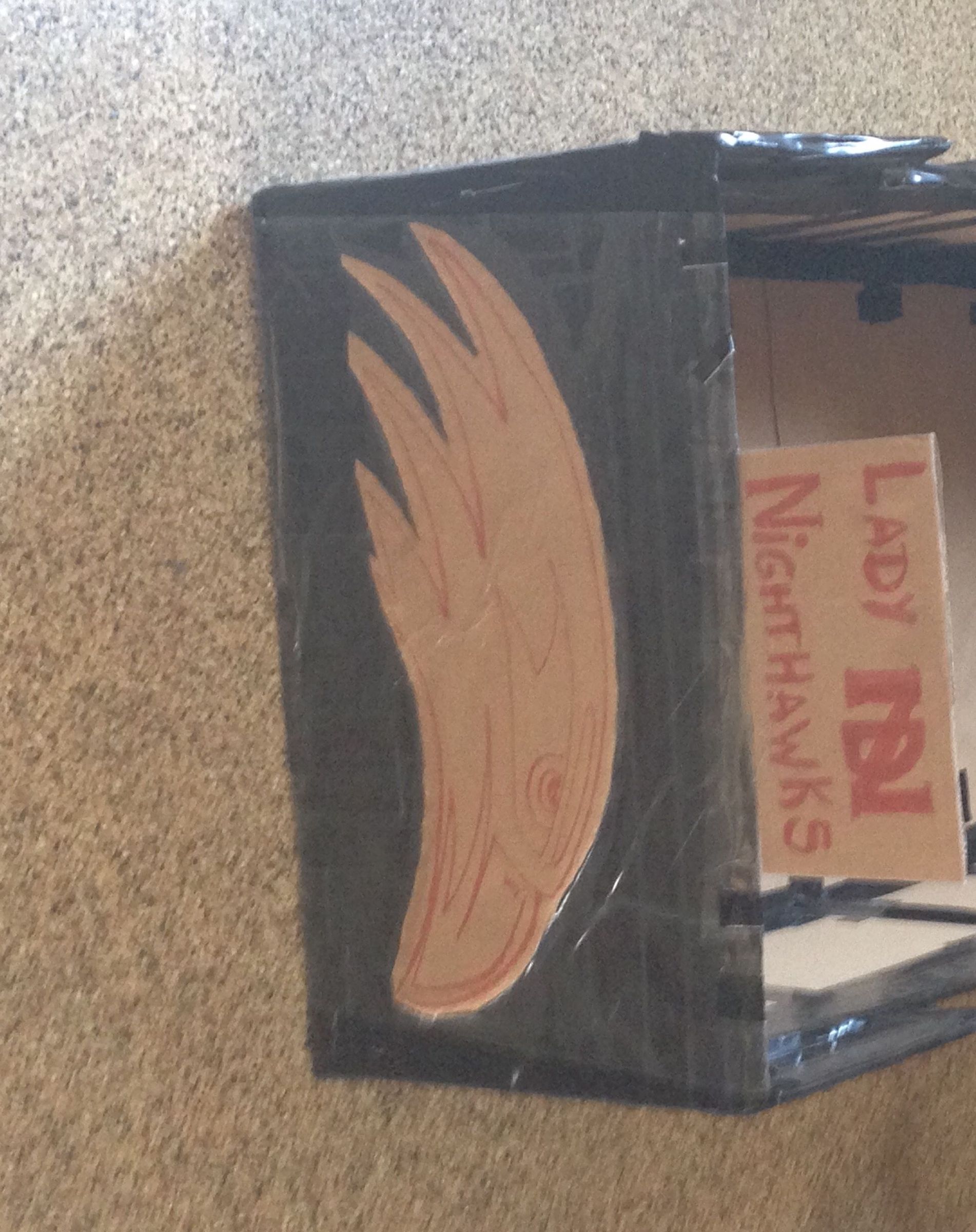 Cardboard Boat: Lady Nighthawks