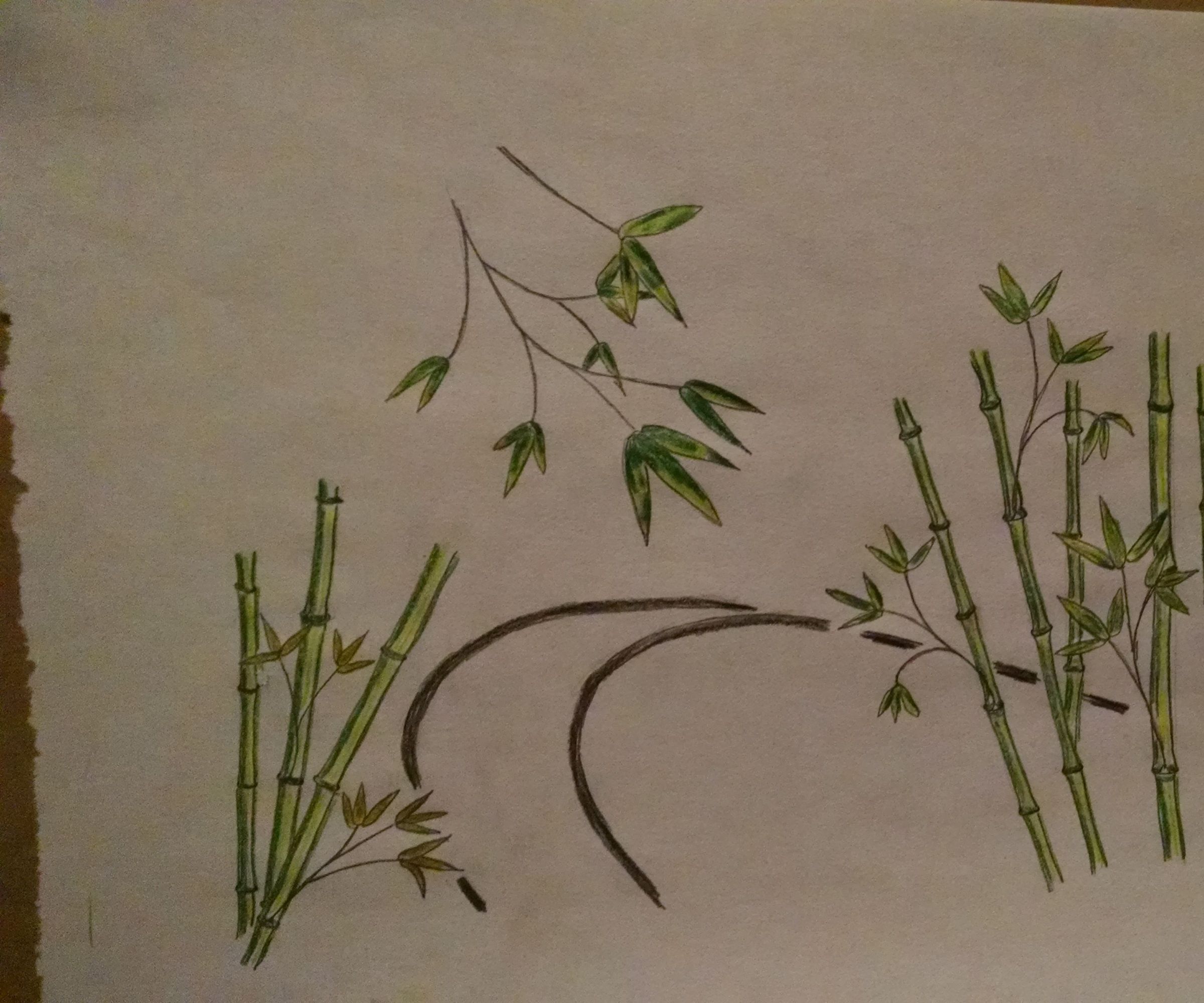 Home-built Teardrop Camper