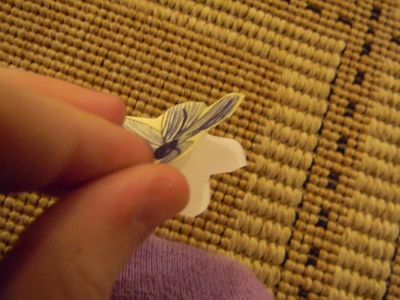 Step 7