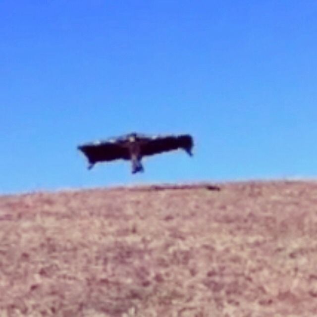 Bamboo Glider:updated: