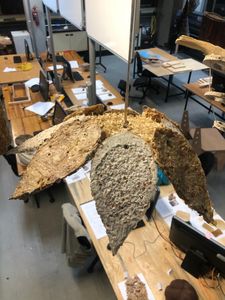 Removing the Panels From Mould