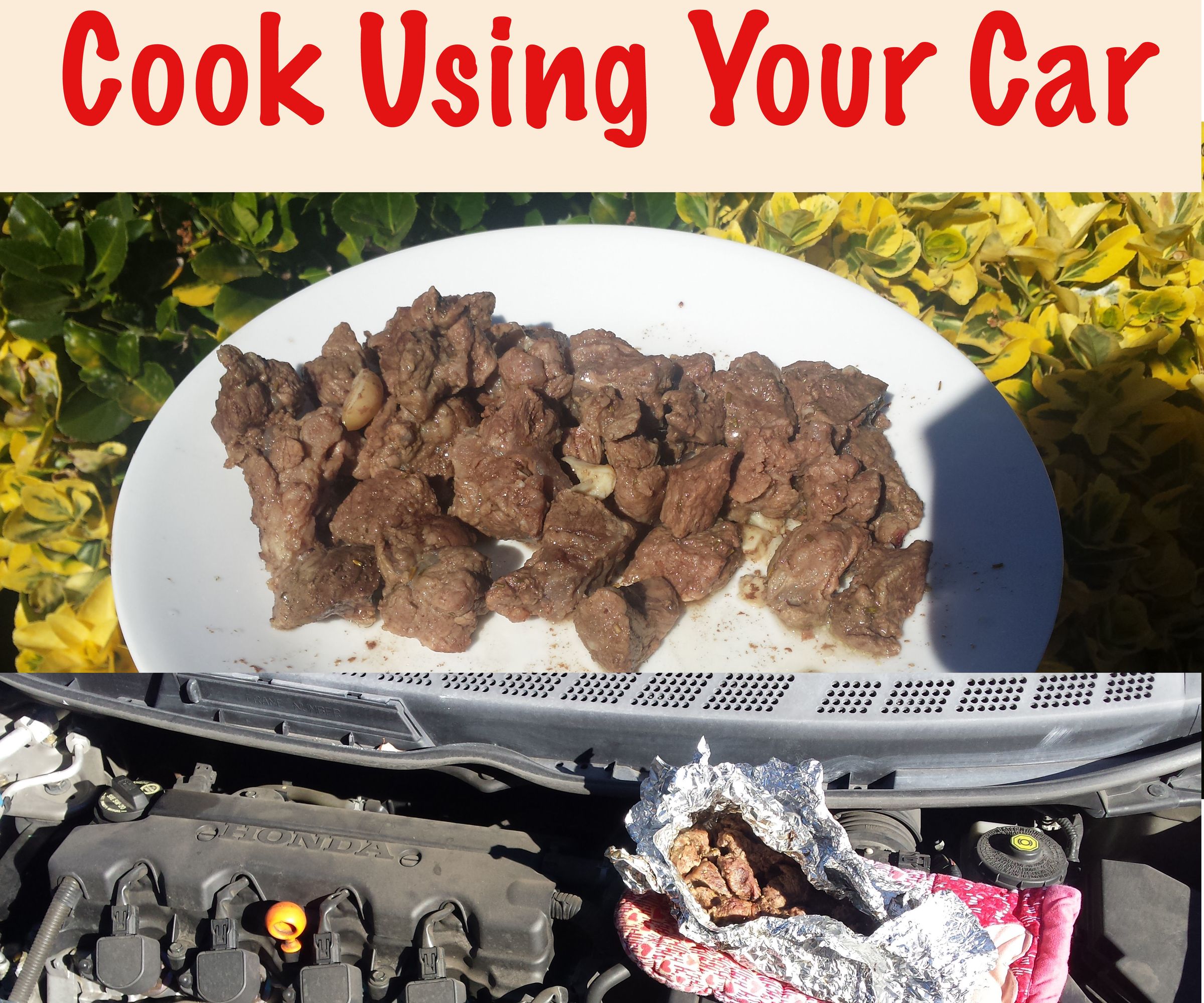 Cook Using Your Car