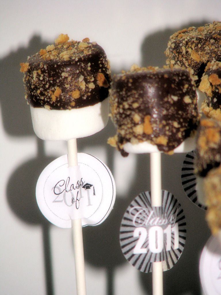 Smore Pops