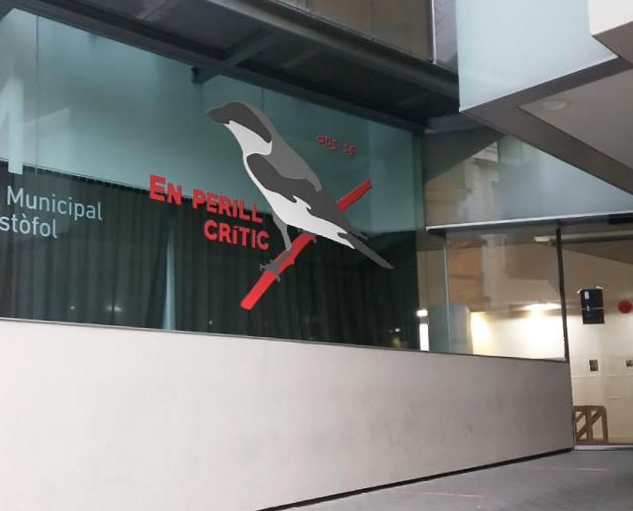 Prepare a File for Vinyl Cutting