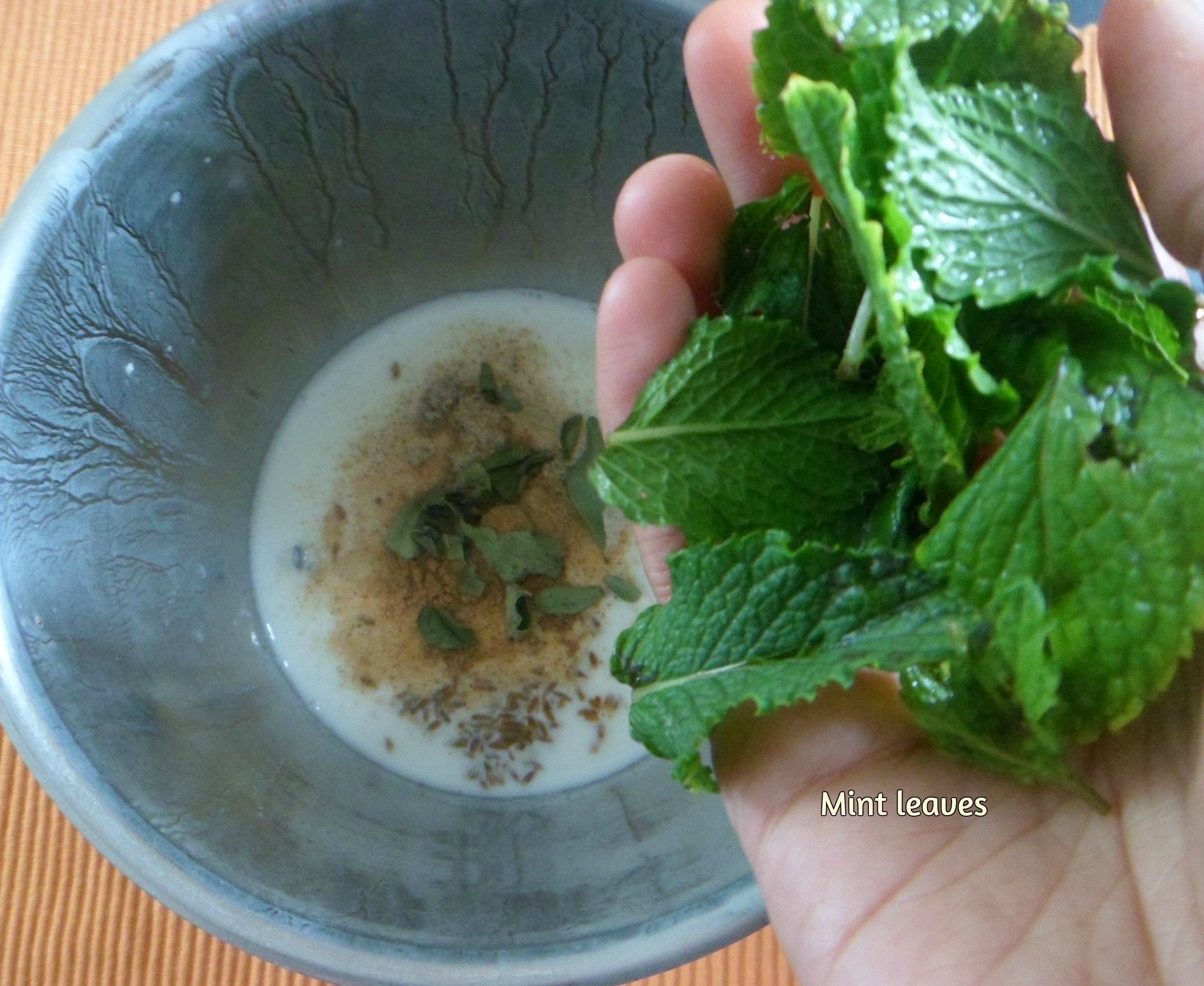 Lassi Variations(yoghurt Drinks) 11 Steps (with Pictures) Instructables
