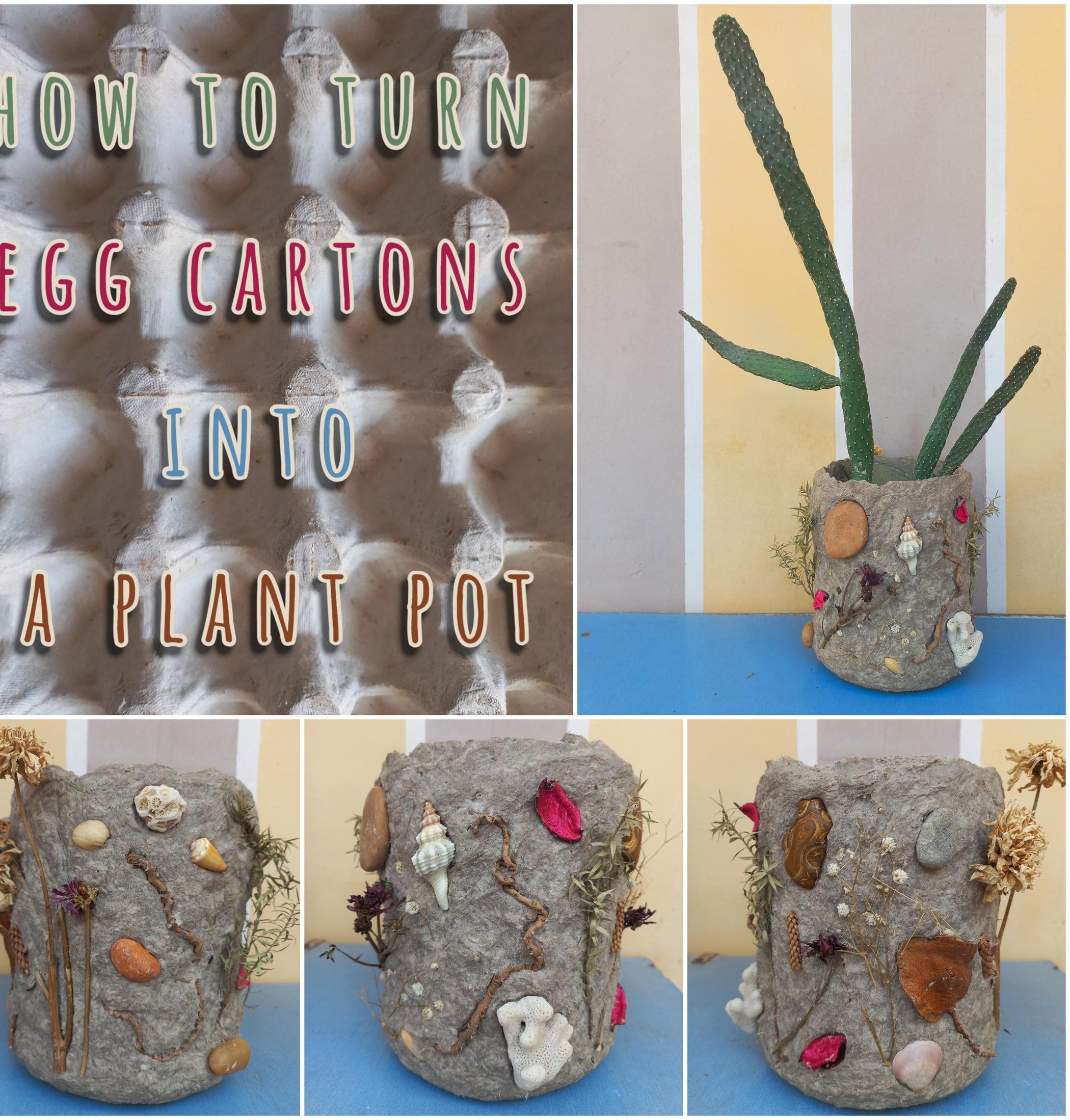 How to Turn Egg Cartons Into a Plant Pot 8 Steps (with Pictures) Instructables