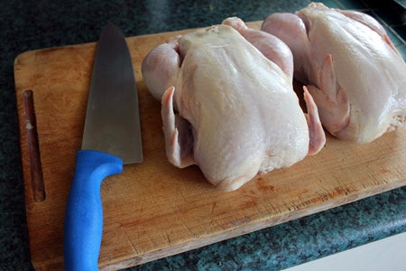 Roasty Toasty Bones