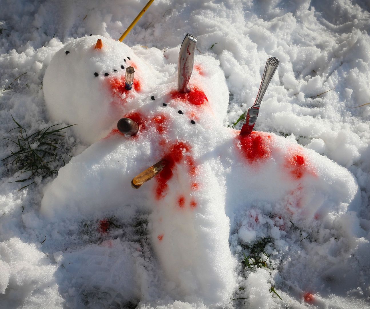 Sick of Snow?  I Have a Solution!