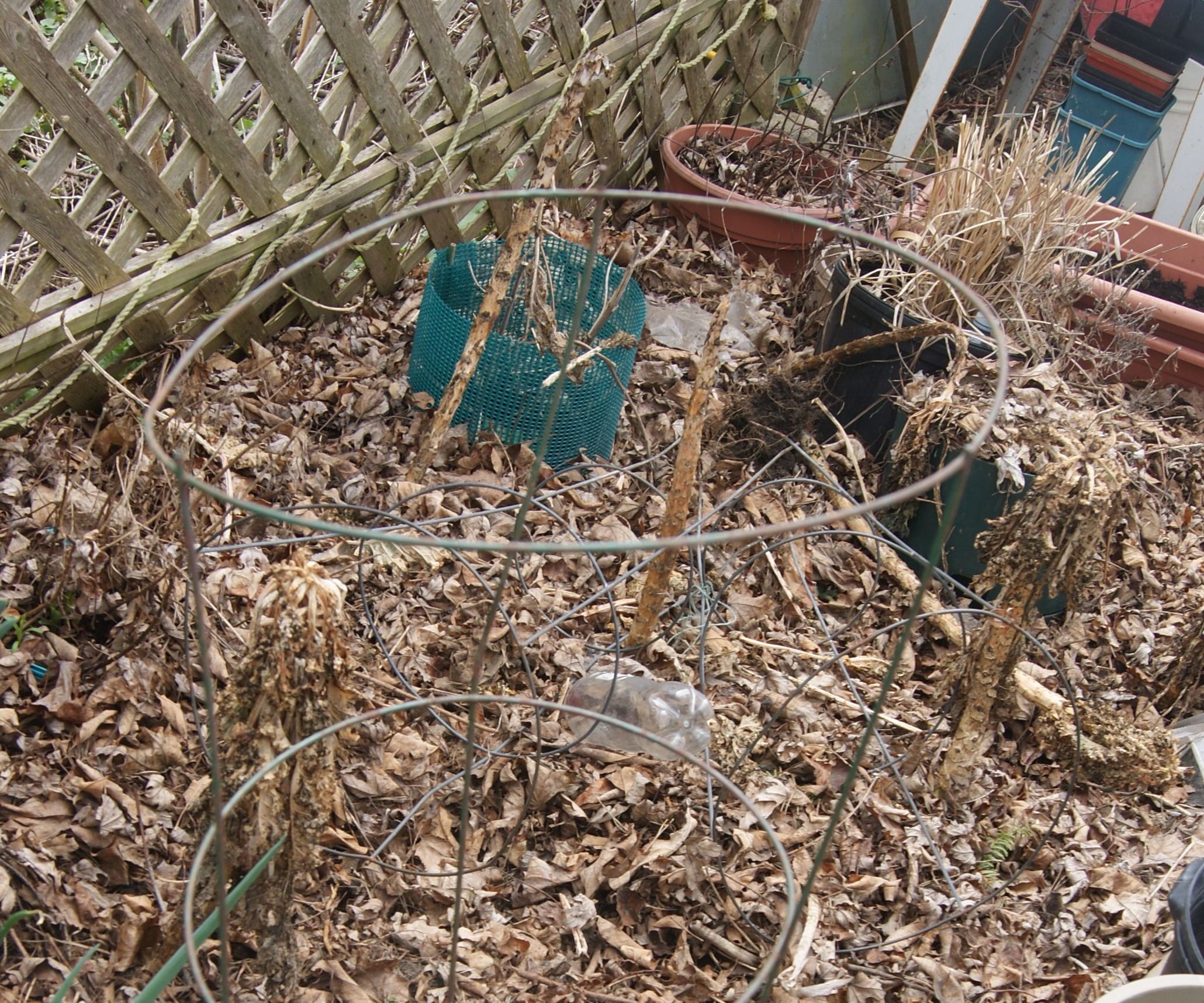 Easy-Watering Tomato Pot