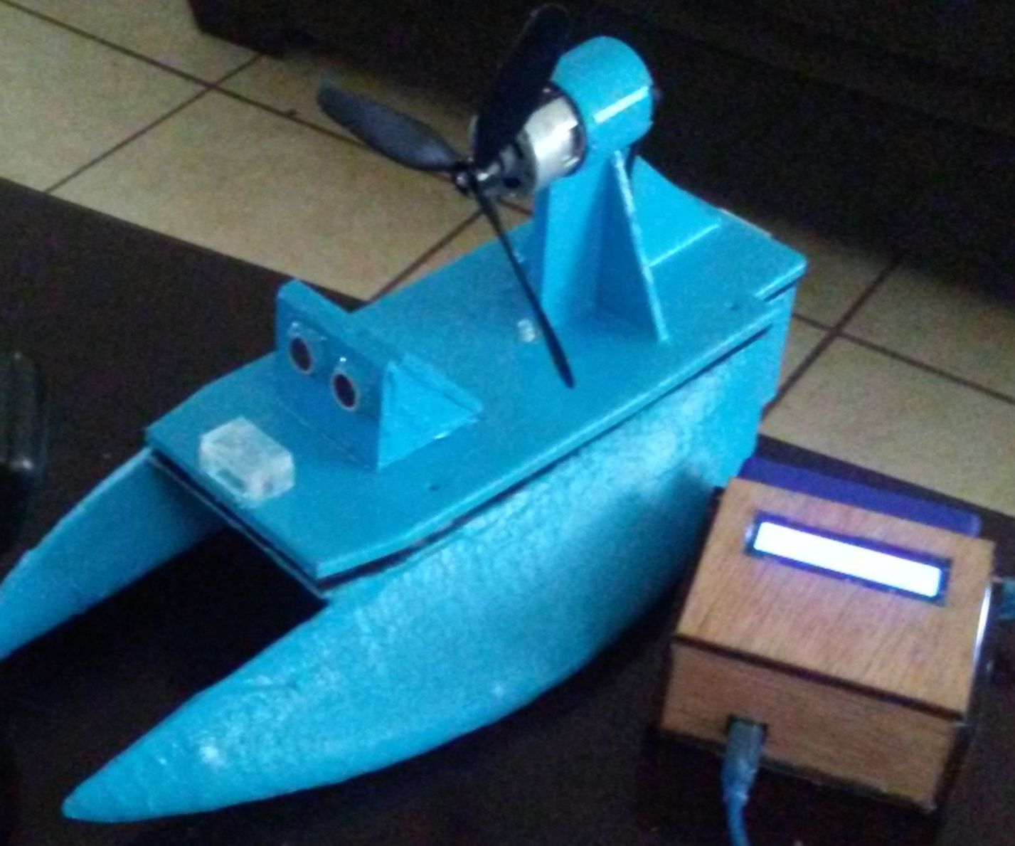 The Wonderful Wind Boat