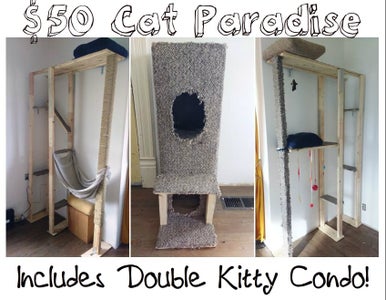 $50 DIY Cat Paradise!