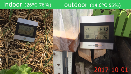 Small Greenhouse for Plantations on Euro Pallets
