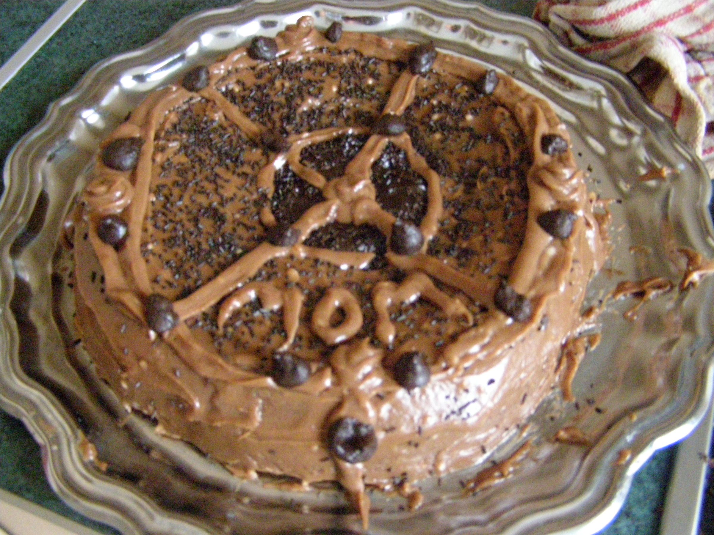 The "Way Too Chocolatey for Human Consumption" Cake